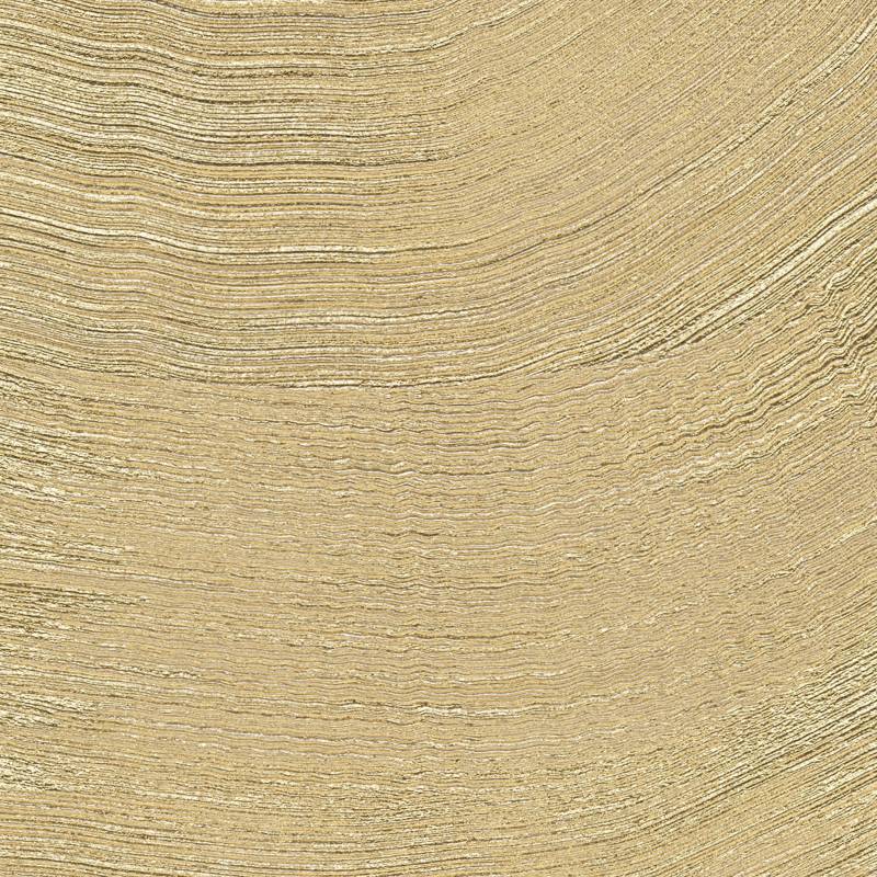 VP 1029 91 - Ruée vers l'or