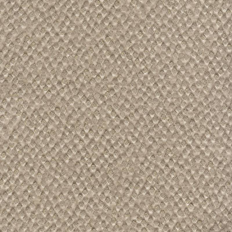 TV 561 05 - Un destin exceptionnel