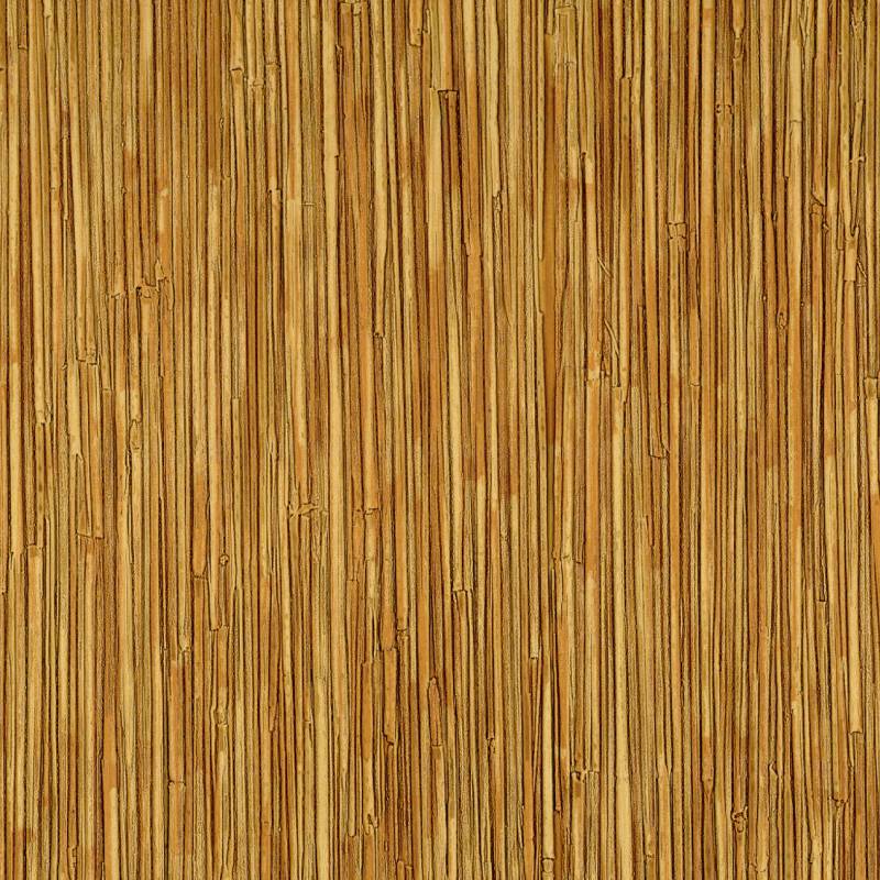 CV 117 07 - Le reflet de ses passions