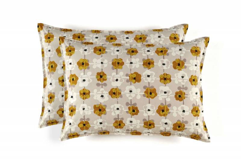 OR 101 25 02 - DAISY Sunny