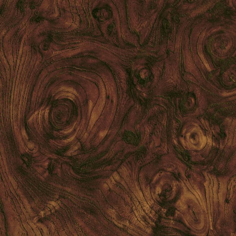 RM 428 70 - Noyer précieux