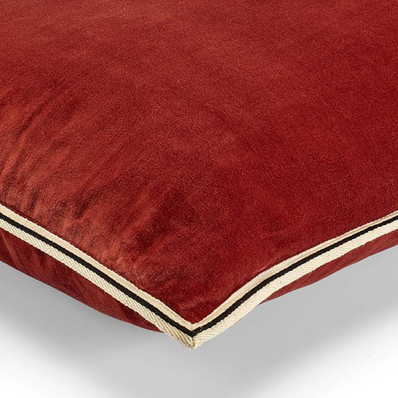 CO 178 37 02 - ARISTOTE Papaye