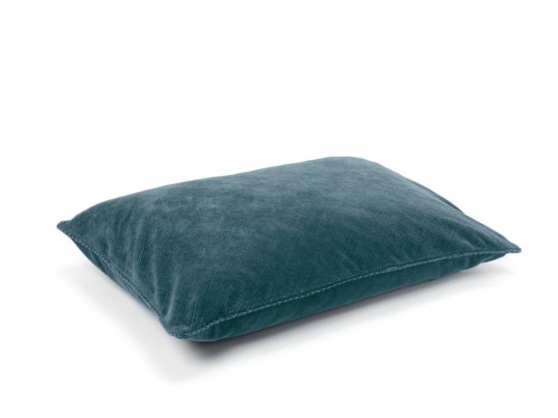 CO 243 81 03 - ITHAQUE Big Eucalyptus